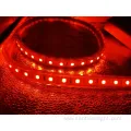 Factoiry Price Indoor Outdoor Decoration RGB Strip Light